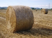 Assicurazione agricoltura